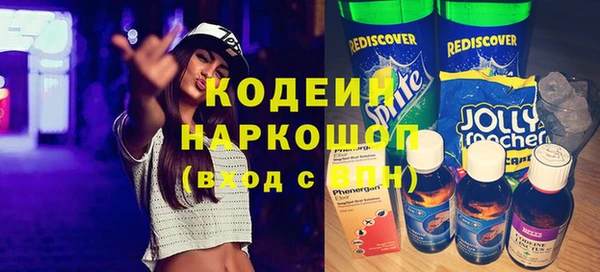 ПСИЛОЦИБИНОВЫЕ ГРИБЫ Арсеньев