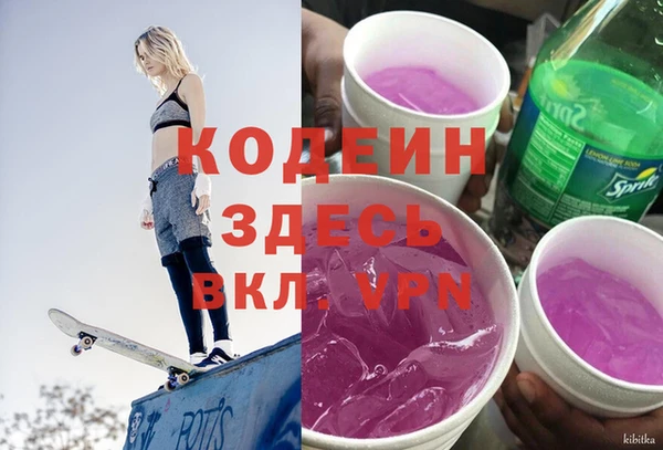 ПСИЛОЦИБИНОВЫЕ ГРИБЫ Арсеньев