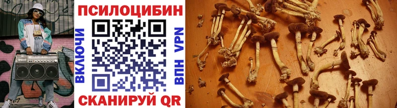 Галлюциногенные грибы Cubensis  Барабинск 