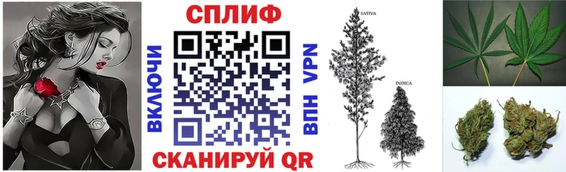 Бошки марихуана сатива  Барабинск 